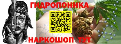 spice Севастополь