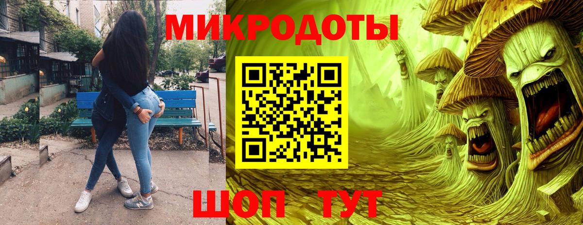 Псилоцибиновые грибы Psilocybine cubensis Псков